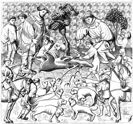 How to Skin a Stag, 15th Century