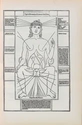 Illustration from Fasciculo di Medicina by Johannes de Ketham