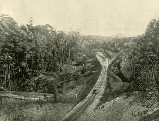 In the Blackall Ranges