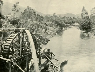 In the Ovens River, Germantown, 1901