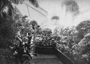 Interior of the White House greenhouse, Washington DC, USA