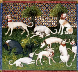 Hunting Dogs (Alan) / Book of the Hunt