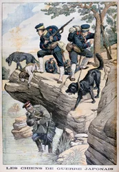 Japanese Soldiers with Dogs Locate a Russian in Hiding, Russo-Japanese War