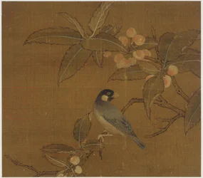 Java Sparrow on a Berry Branch