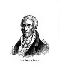 Jean-Baptiste Lamarck, 20th century