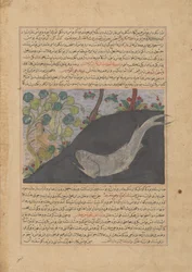 Jonah and the Whale, Folio from a Majma