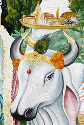 Kamdhenu sacred cow, Kathmandu, Nepal