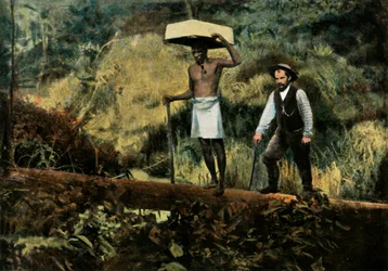 Prospecting for Gold, 1900
