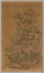 Ko Ssu Panel: Rocks and Narcissus, 1700s - 1800s