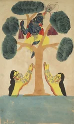 Krishna Steals the Clothes of the Cowgirls (Gopis)