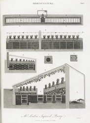 Pineapple Greenhouse, Elevation and Section of the Building