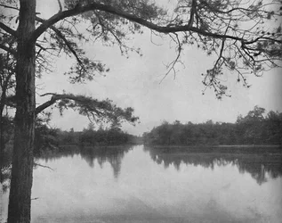 Lake of the Isles, Thousand Islands, c1897