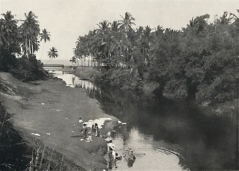 Landscape by the River near Dehiwala, Between Colombo and Mount Lavinia, 1926