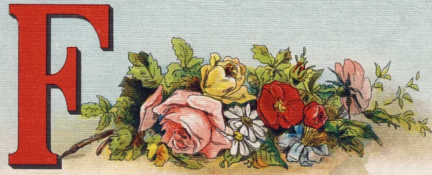 Letter F: Flowers