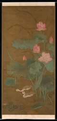 Lotus and Waterbirds