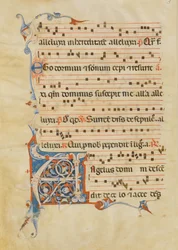 Manuscript Leaf with Foliated Initial A, from an Antiphonary, Italian, 14th century