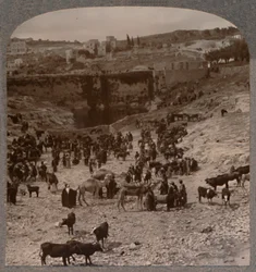 Market Day at the Pool of Gihon
