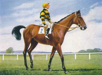 Meadow, Jockey: T. Weston, 1939