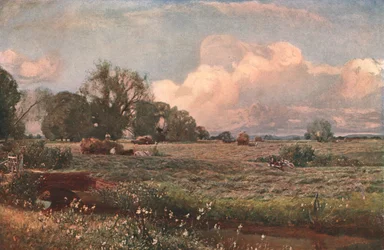 Meadow Sweets
