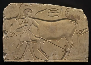 Men Trussing an Ox, 667-647 BC