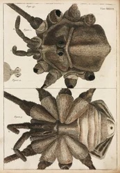 Microscopy