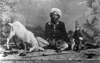 Monkey Trainer, India