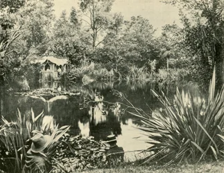 Mr. Ryans Gardens, Mount Macedon, Victoria