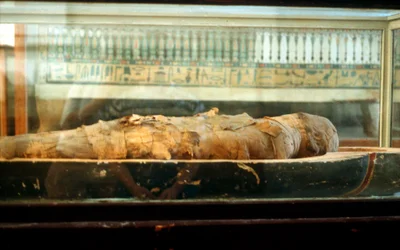 Mummy Wrapped in Bandages and Lying on the Base of a Coffin, Ancient Egyptian