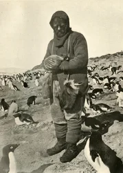 Murray Holding Young Penguins