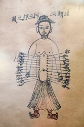 Museum of Traditional Vietnamese Medicine, The channels and vessels, Book of acupuncture, Ho Chi Minh City, Vietnam