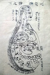 The Channels and Vessels, Book of Acupuncture, Ho Chi Minh City, Vietnam