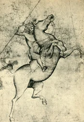 Naked man riding a horse