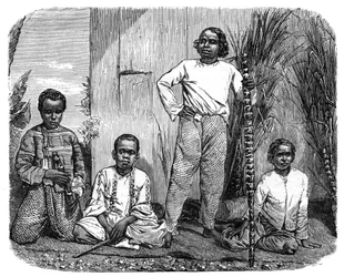 Natives of the island of Reunion, c1890