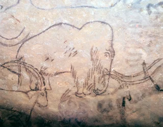Neolithic cave painting of a mammoth and ibexes