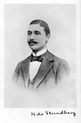 Nils Strindberg, Swedish photographer