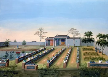 Nursery Garden, China