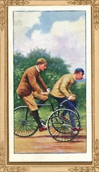 Olympia Tandem Tricycle