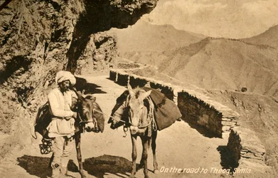 On the Road to Theog, Simla