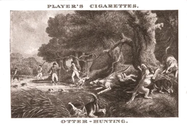 Otter-Hunting