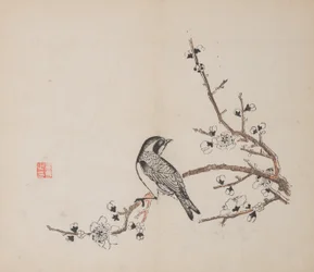 Page from Shi Zhu Zhai