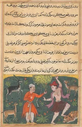 Page from Tales of a Parrot Tuti-nama: Eighteenth night: The prince meets...