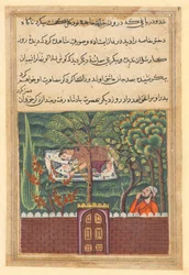 Page from Tales of a Parrot Tuti-nama: Fifty-first night: Khulasa, a vizier, sees..., c1560