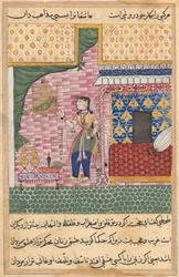 Page from Tales of a Parrot Tuti-nama: Seventeenth night: The parrot..., c. 1560