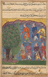 Page from Tales of a Parrot Tuti-nama: Sixth Night: Seven Men Disputing Possession