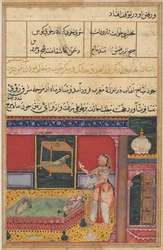 Page from Tales of a Parrot Tuti-nama: Sixth night: The parrot addresses Khujasta