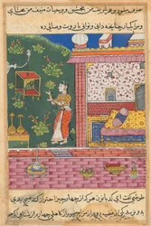 Page from Tales of a Parrot Tuti-nama: Thirtieth Night: The Parrot Addresses Khujasta