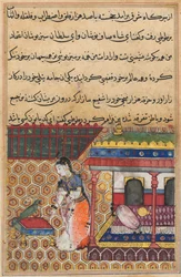 Page from Tales of a Parrot Tuti-nama: Thirty-Eight Night: The Parrot Addresses Khujasta