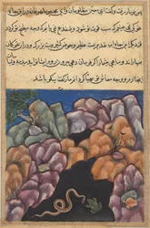 Page from Tales of a Parrot (Tuti-nama): Twenty-sixth Night: The Snake Enters..., c. 1560