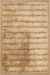 Page from Tales of a Parrot Tuti-nama: Text Page