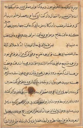 Page from Tales of a Parrot Tuti-nama: Text Page